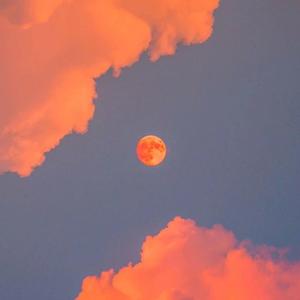 精品现代真实乱侄
